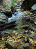 photo thumbnail #11