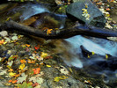 photo thumbnail #12
