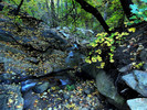 photo thumbnail #14
