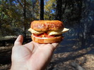 photo thumbnail #3
