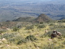 photo thumbnail #11