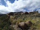 photo thumbnail #7