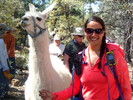 photo thumbnail #5