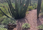 photo thumbnail #10