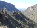 photo thumbnail #4