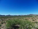 photo thumbnail #1