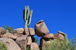 photo thumbnail #1