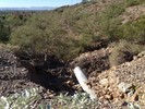 photo thumbnail #1