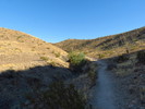 photo thumbnail #3