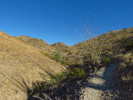 photo thumbnail #4