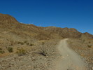 photo thumbnail #8