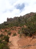 photo thumbnail #12