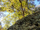 photo thumbnail #10