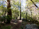 photo thumbnail #11