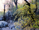 photo thumbnail #15