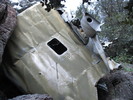 photo thumbnail #8