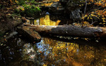photo thumbnail #13