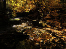 photo thumbnail #14