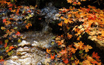 photo thumbnail #15