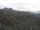 photo thumbnail #11