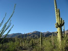 photo thumbnail #2