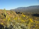 photo thumbnail #4