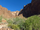 photo thumbnail #9