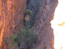 photo thumbnail #11