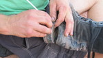 photo thumbnail #1