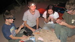 photo thumbnail #4