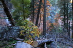 photo thumbnail #1