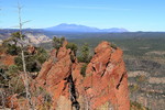 photo thumbnail #10