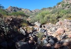 photo thumbnail #1