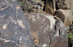photo thumbnail #4