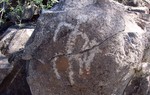 photo thumbnail #9