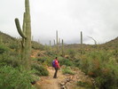 photo thumbnail #5