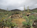 photo thumbnail #7