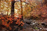 photo thumbnail #3