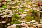 photo thumbnail #6
