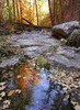 photo thumbnail #8