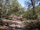 photo thumbnail #2