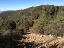 photo thumbnail #7