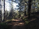 photo thumbnail #8