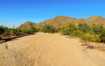photo thumbnail #3