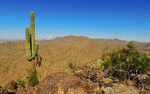 photo thumbnail #11
