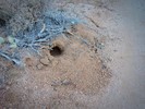 photo thumbnail #13