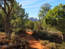 photo thumbnail #15