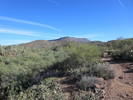 photo thumbnail #1