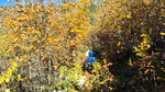 photo thumbnail #11