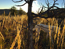 photo thumbnail #15